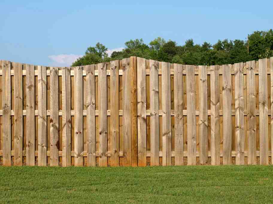 Vertical Board Fence