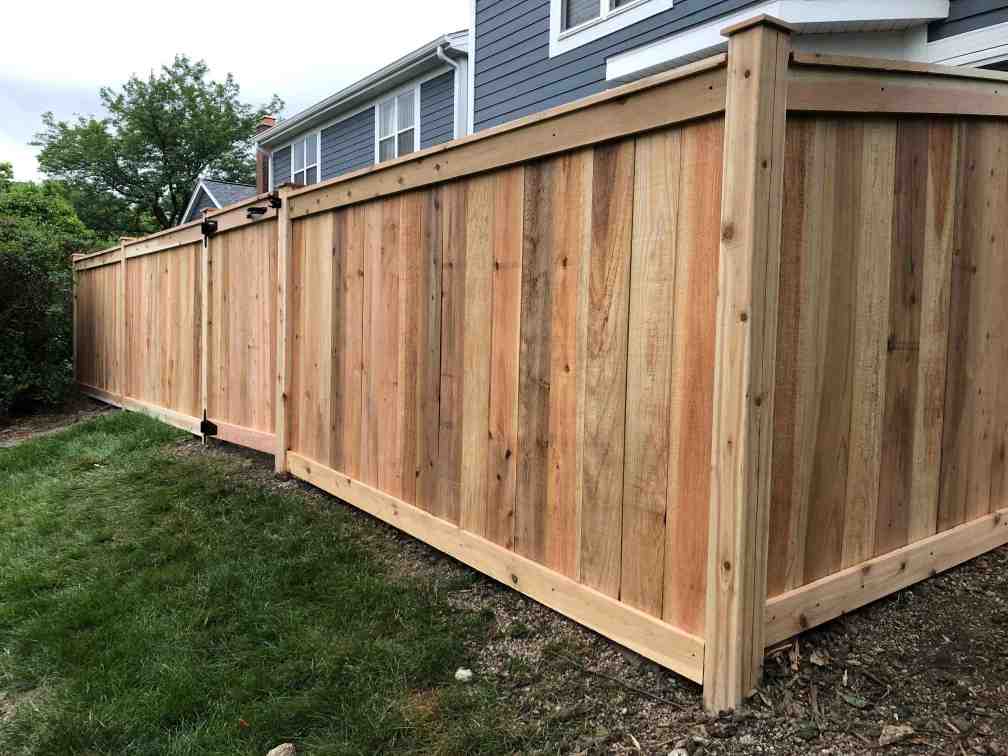 Fence using Cedar wood