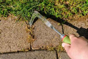 Patio knife to remove weeds from patio pavers