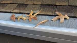 A few leaves scattered on top of an installed gutter guard.
